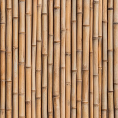 Fototapeta premium Vertical Bamboo Stalks Forming Natural Textured Background for Eco-Friendly Designs