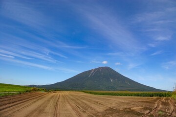 Fototapeta premium 春の青空に映える羊蹄山の風景