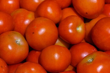 Freshly harvested tomatoes gleaming under natural light, ready for culinary delights in a vibrant market