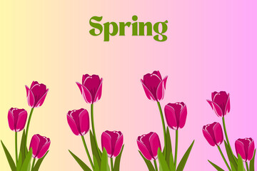 Różowe tulipany z zielonymi liśćmi i łodygami na pastelowym tle z napisem Spring
