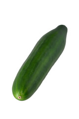 A single cucumber rests on a clean white surface, highlighting its smooth, dark green exterior