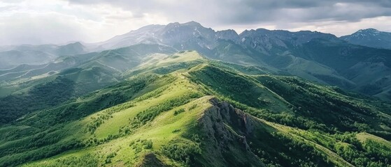 Exploring the Majestic Mountain Ranges Surrounded by Green Grass and Lush Trees in Nature's Embrace