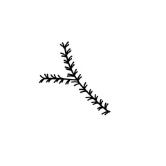 Rosemary branch icon