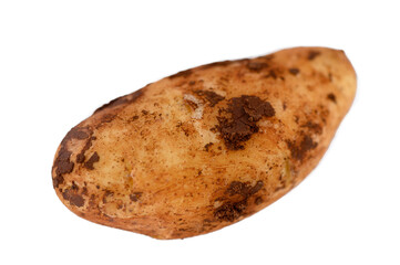 Unique brown potato resting on a white background showcases earthy texture and organic simplicity