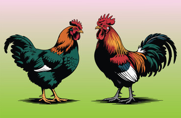 Fototapeta premium Rooster and Hen Picture. Vector Illustration or Icon