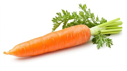 Fresh orange carrot with green tops food photography studio environment close-up view