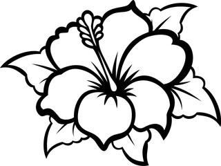 black and white  hibiscus flower isolated