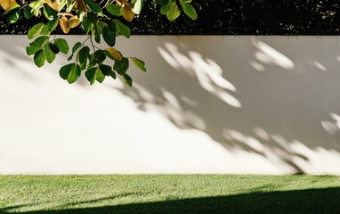 Obraz premium Sunlight and Leaf Shadows on Beige Wall and Green Grass