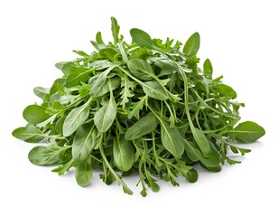 Obraz premium Fresh Bunch of Arugula