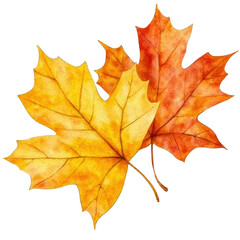 Vibrant autumn leaves in yellow and orange hues, beautifully illustrated against a white background, perfect for seasonal themes and nature-inspired designs.