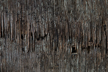 Close up Macro Shot of Textured Wooden Surface Showcasing Natural Decay and Intricate Details
