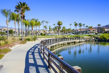 Fototapeta premium Lakeside path, palm trees reflect in serene water under a clear sky