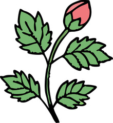 plant and flower illustration svg