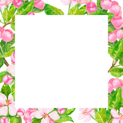 Square frame with watercolor wild apple flowers isolated on white background. Summer or spring banner template for poster or card. Hand-drawn art with copy space for wallpaper.