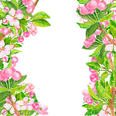 Square frame with watercolor wild apple flowers isolated on white background. Summer or spring banner template for poster or card. Hand-drawn art with copy space for wallpaper.