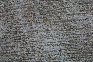 Close up Macro Shot of Textured Stone Surface With Intricate Patterns and Natural Color Variations