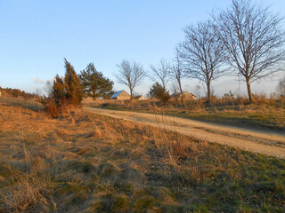 Polna droga do polskiej wsi o zachodzie słońca