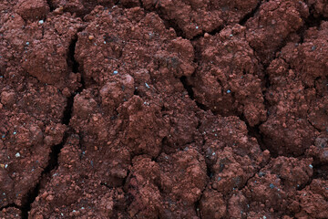 Close up Texture of Dry Cracked Red Soil in a Macro Shot Highlighting Earth's Natural Elements