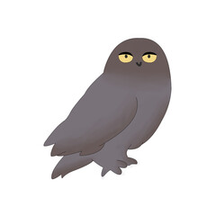 bird