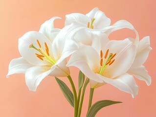 Obraz premium Elegant white lily bouquet against a soft peach backdrop. Delicate petals and vibrant details shine.