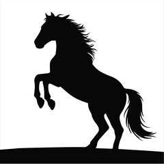 silhouette horse black color design vector for white background