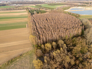 Aerial view of diverse landscapes featuring cultivated fields, a dense forest, and a body of water,...