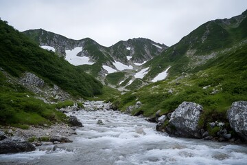 Mountain stream flows through a green, rocky valley under cloudy sky