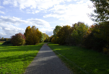 idyllic landscape, sunny day, idyllic field paths on a sunny day, pretty forest paths under a blue sky, a narrow path surrounded by many trees, a meadow, blue sky and fluffy clouds