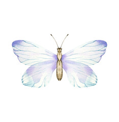 Watercolor Butterfly Illustration: Blue and Purple Transparent Wings, Delicate Insect Art for Design, Beautiful Butterfly with Gradient Wings