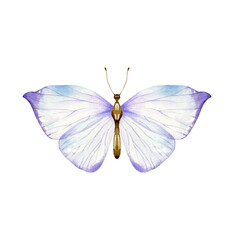 Watercolor Whimsical Butterfly Illustration: Purple Transparent Wings, Delicate Insect Art for Design, Beautiful Butterfly with Gradient Wings