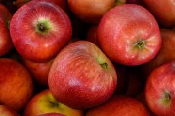 Freshly harvested red apples arranged in a vibrant heap at a local farmers market during autumn's peak harvest season