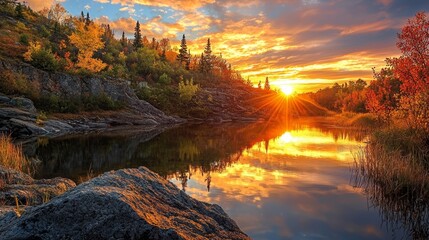 Captivating Sunset Illuminating Autumn's Beauty