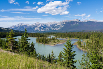Summer Landscape of Athabasca River with Sandbars and Forest in the Canadian Rockies. Jasper National Park, Alberta, Canada