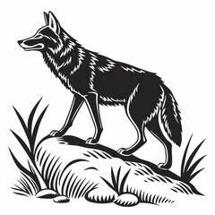 coyote sihouette black vecto