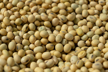 Uncooked Soybean Seeds. Healthy and Nutritious Legumes