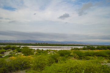 view from the river nature landscape 