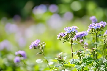 Purple flowers bloom amidst lush greenery in a sun-drenched garden