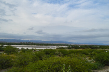lake in the mountains trees river cloudy weather water flowing