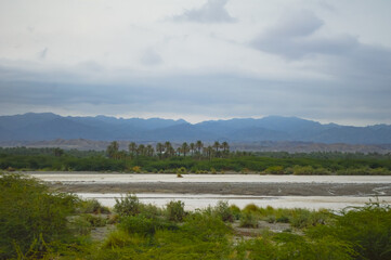 lake in the mountains dates palm tree river cloudy weather