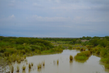 landscape with lake water