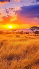 Fototapeta premium Vibrant Sunset Over Savannah Landscape