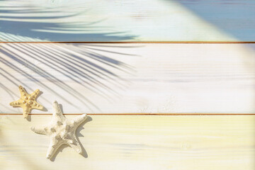 Starfish on a beach with sunlight and palm tree shadow