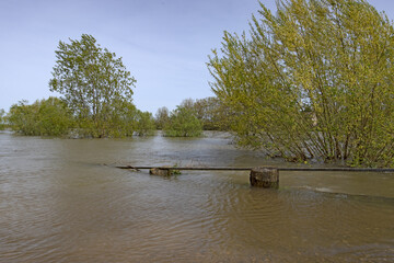 Rivière en crue, la Saône