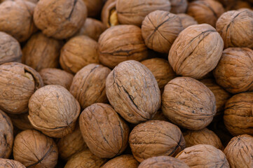 Harvested walnuts piled together, showcasing their textured shells and natural hues under soft lighting