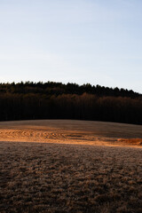View of a New England hay field in the late afternoon golden sunlight. The field is curving around the edge of a forest under light blue skies. The tracks of the tractor are visible in the sunlit bend