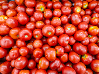 The tomato, Solanum lycopersicum, is a plant whose fruit is an edible berry that is eaten as a vegetable. The tomato is a member of the nightshade family that includes tobacco, potato & chili peppers