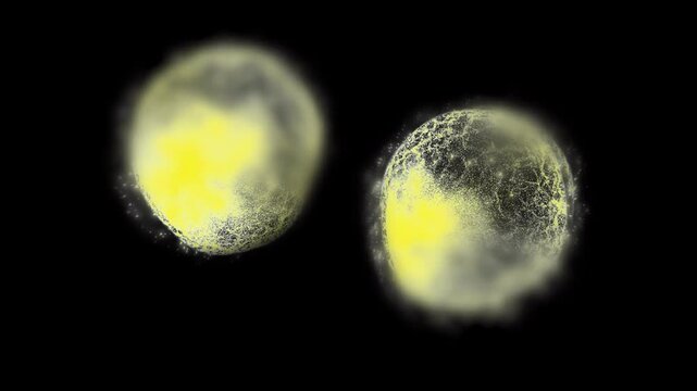 Energy spheres divide like cells in a living organism.
