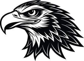 eagle vector illustration 