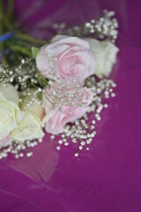 Delicate bouquet of pale pink and cream roses with baby's breath resting on a vibrant purple surface capturing the essence of romance elegance and serenity in a soft and enchanting floral arrangement
