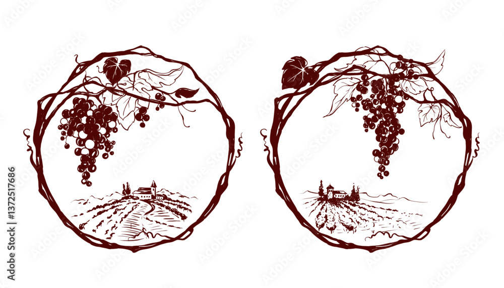 Fototapete grapevine - vector illustration. design elements with a twisting vine with leaves and berries. freeh
